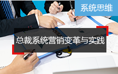 【营销】系统思维-总裁系统营销变革与实践